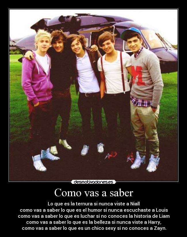 Como vas a saber - Lo que es la ternura si nunca viste a Niall
como vas a saber lo que es el humor si nunca escuchaste a Louis
como vas a saber lo que es luchar si no conoces la historia de Liam
como vas a saber lo que es la belleza si nunca viste a Harry,
como vas a saber lo que es un chico sexy si no conoces a Zayn.