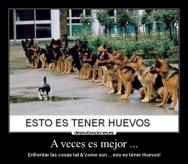 A veces es mejor ... - 