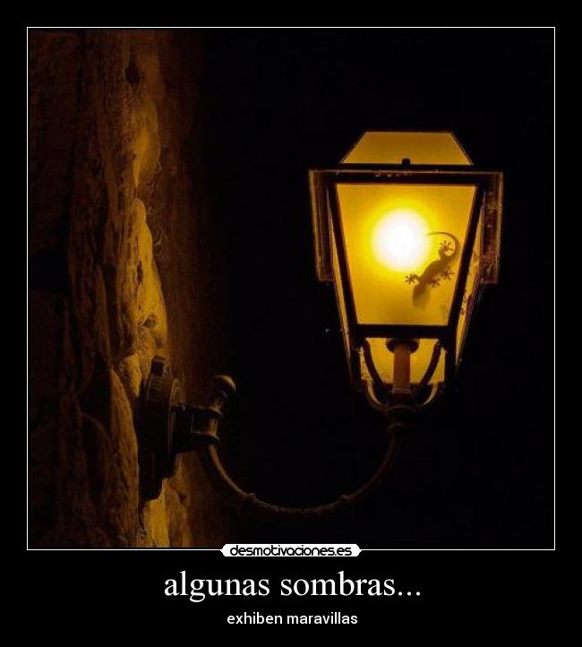 algunas sombras... - exhiben maravillas