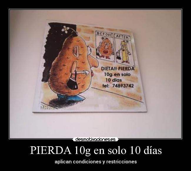 carteles papa papa frita dieta perder peso desmotivaciones