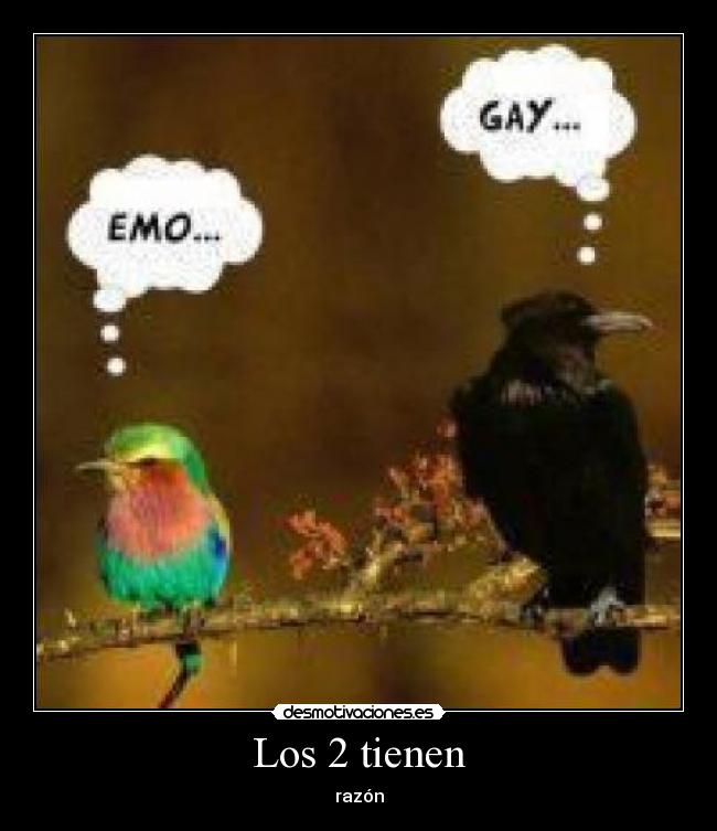 Los 2 tienen - razón