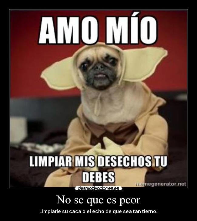 carteles francys zambrano desmotivaciones