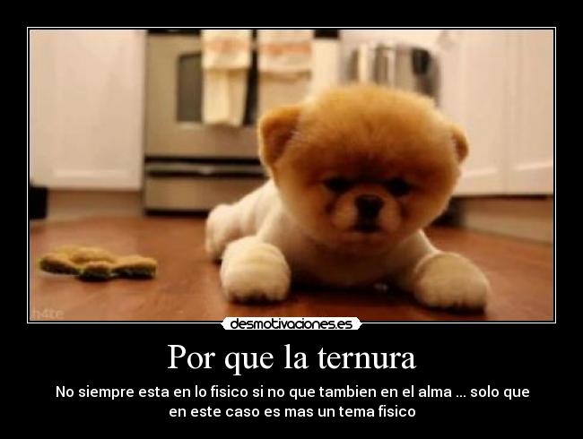 Por que la ternura -