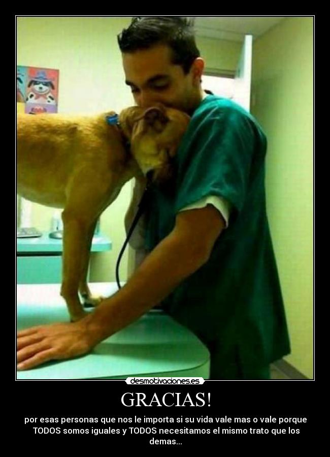 carteles maru desmotivaciones