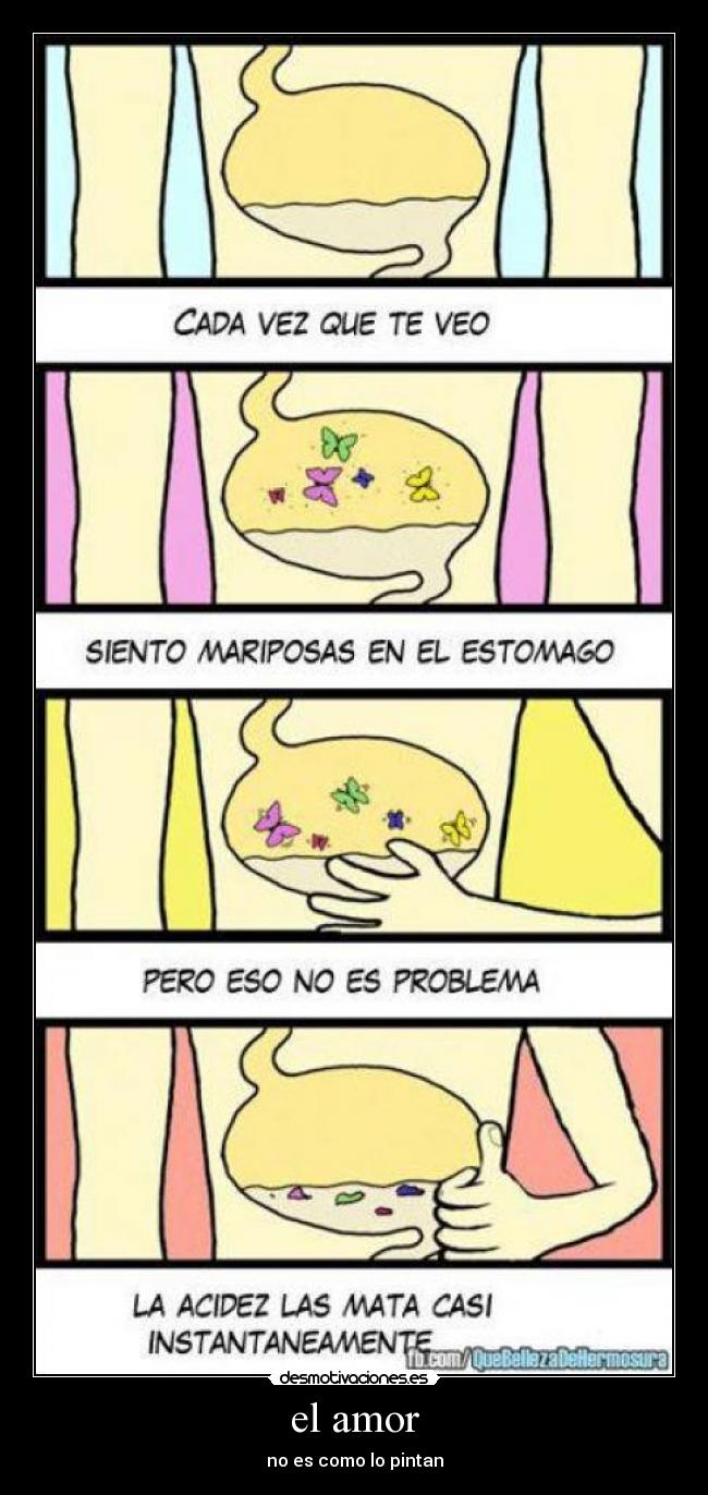 el amor - 