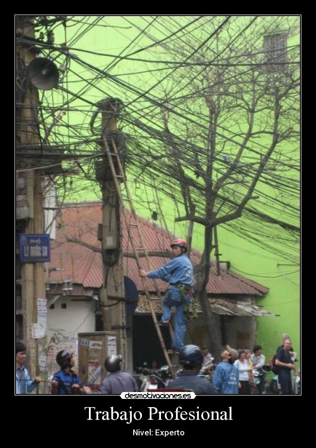 Trabajo Profesional - Nivel: Experto