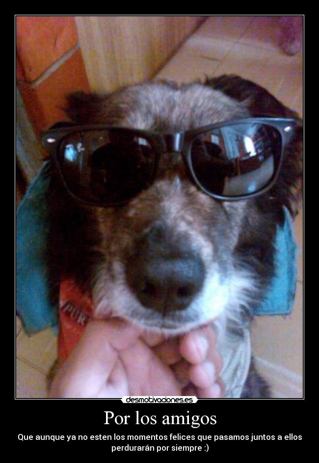 Por los amigos - Que aunque ya no esten los momentos felices que pasamos juntos a ellos
perdurarán por siempre :)