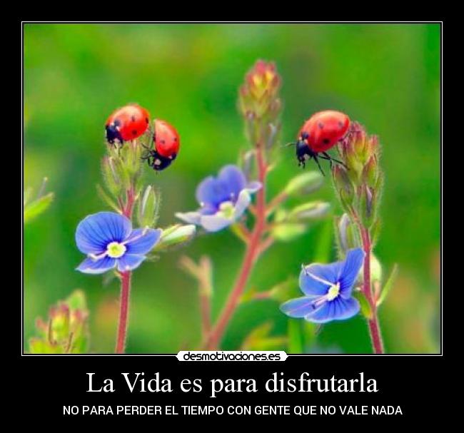 La Vida es para disfrutarla - 