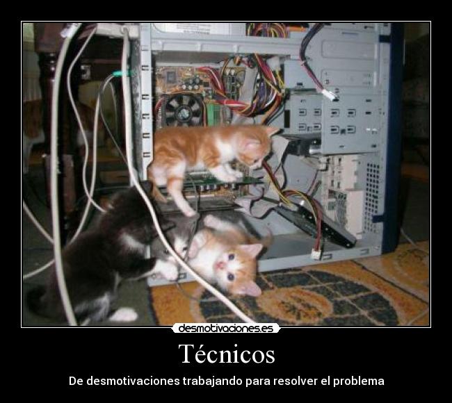 Técnicos -