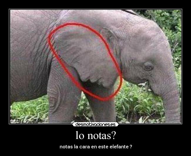 lo notas? -