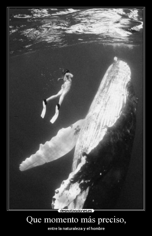 Que momento más preciso, - entre la naturaleza y el hombre