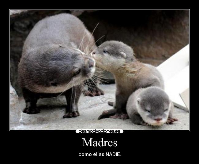 Madres - 