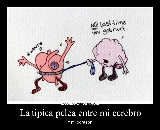 La tipica pelea entre mi cerebro -