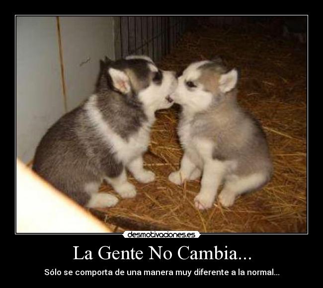 carteles gente cambia desmotivaciones