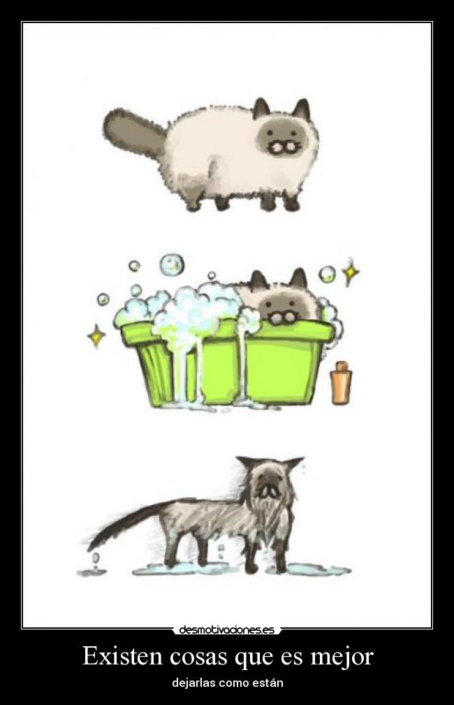 Existen cosas que es mejor - dejarlas como están