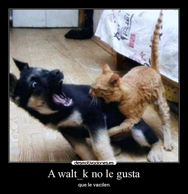 A walt_k no le gusta - que le vacilen.