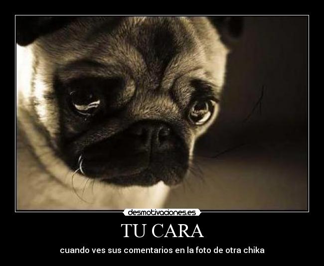 carteles taly desmotivaciones