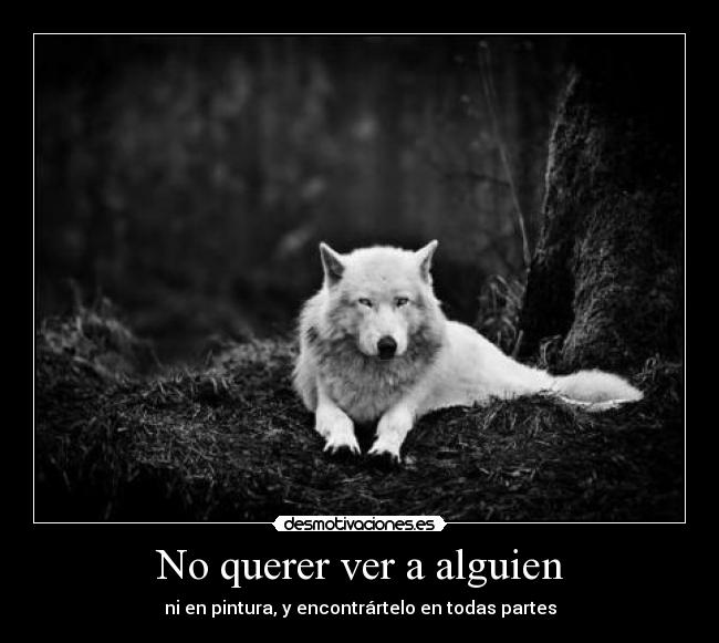 No querer ver a alguien -