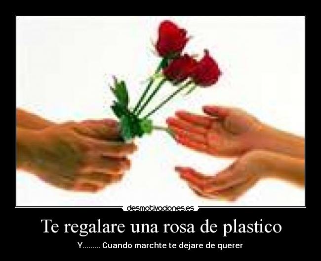 Te regalare una rosa de plastico - Y......... Cuando marchte te dejare de querer