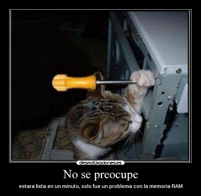 No se preocupe - estara lista en un minuto, solo fue un problema con la memoria RAM