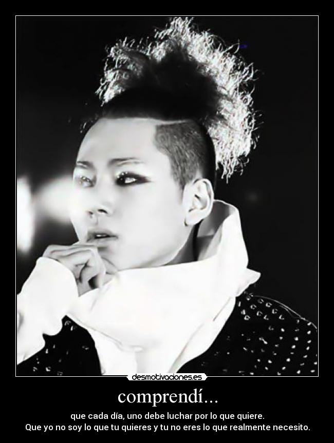comprendí... - que cada día, uno debe luchar por lo que quiere.
Que yo no soy lo que tu quieres y tu no eres lo que realmente necesito.