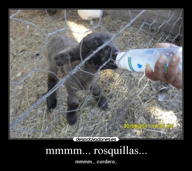 mmmm... rosquillas... -