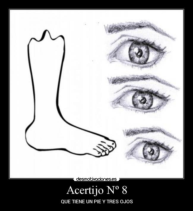 Acertijo Nº 8 - 