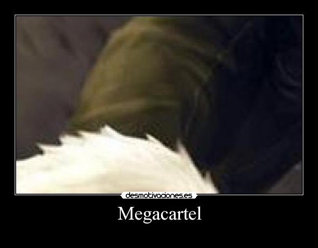 carteles megacartel desmotivaciones