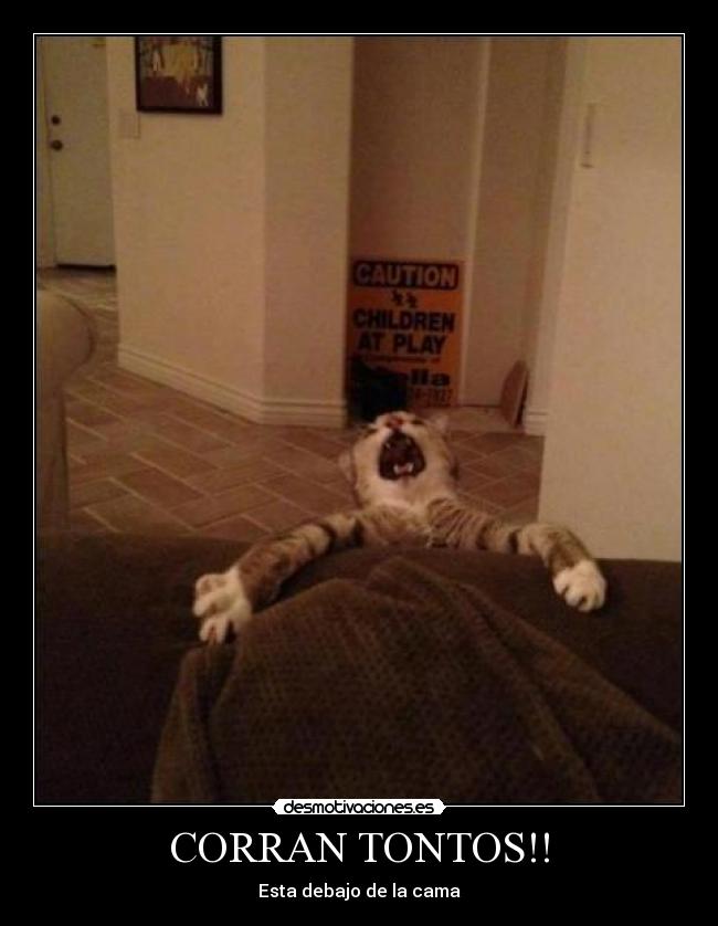 CORRAN TONTOS!! - Esta debajo de la cama