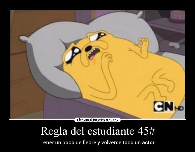 Regla del estudiante 45# - 