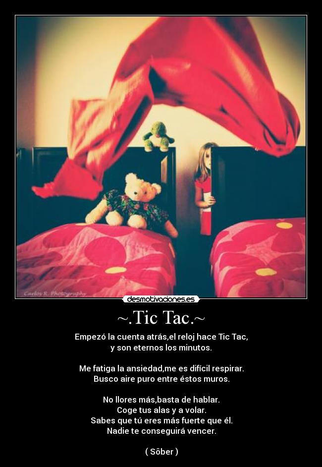 ~.Tic Tac.~ - Empezó la cuenta atrás,el reloj hace Tic Tac,
y son eternos los minutos.
Me fatiga la ansiedad,me es difícil respirar.
Busco aire puro entre éstos muros.
No llores más,basta de hablar.
Coge tus alas y a volar.
Sabes que tú eres más fuerte que él.
Nadie te conseguirá vencer.
( Sôber )