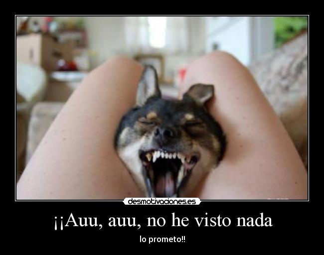 carteles lamask8 comprandoelpanmelomontoconlavecina irca hostia cidonnch como mola perro desmotivaciones