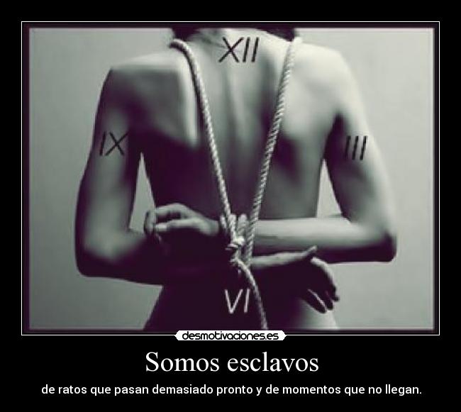 carteles quieres morbo sexo sin control alguien atractivo simpatico busca esposo ejies iiresubido desmotivaciones