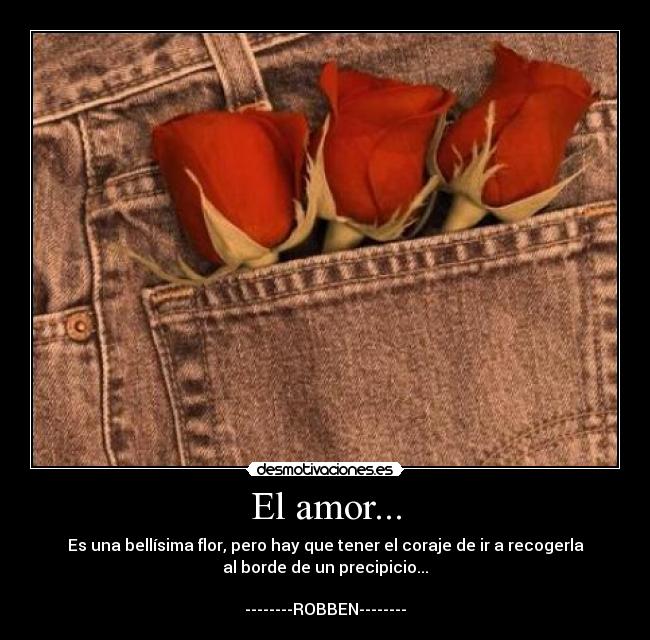 El amor... - Es una bellísima flor, pero hay que tener el coraje de ir a recogerla
al borde de un precipicio...

--------ROBBEN--------