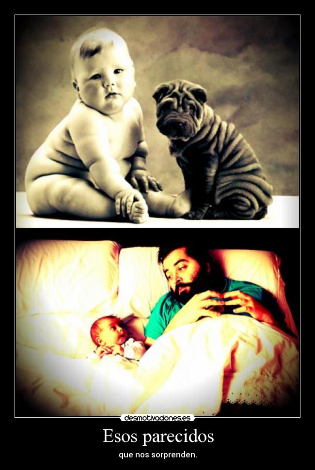 Esos parecidos - que nos sorprenden.