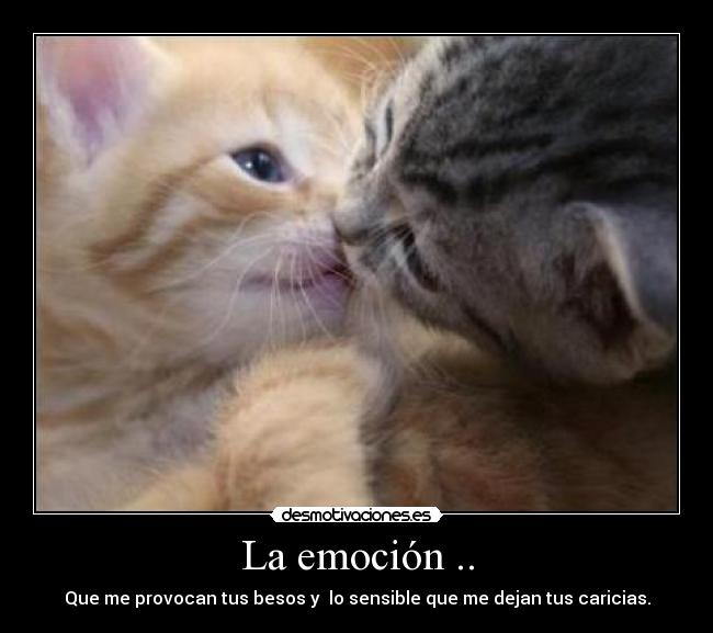 La emoción .. - Que me provocan tus besos y lo sensible que me dejan tus caricias.