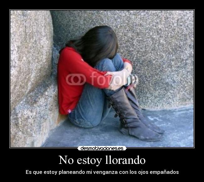 No estoy llorando - Es que estoy planeando mi venganza con los ojos empañados