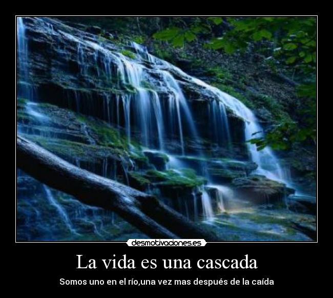 carteles vida eso desmotivaciones