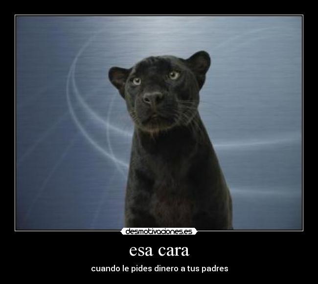 esa cara - 