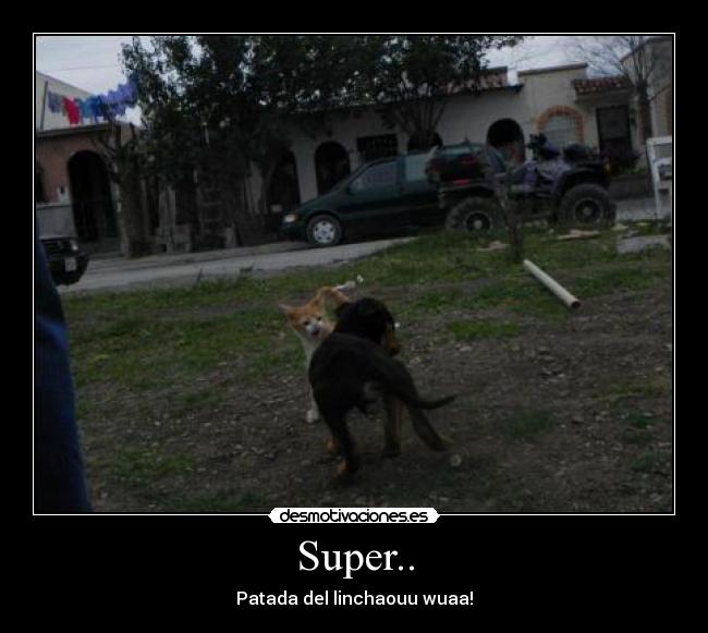 Super.. - Patada del linchaouu wuaa!