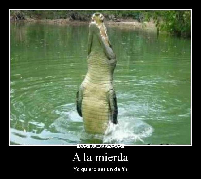 A la mierda - Yo quiero ser un delfín