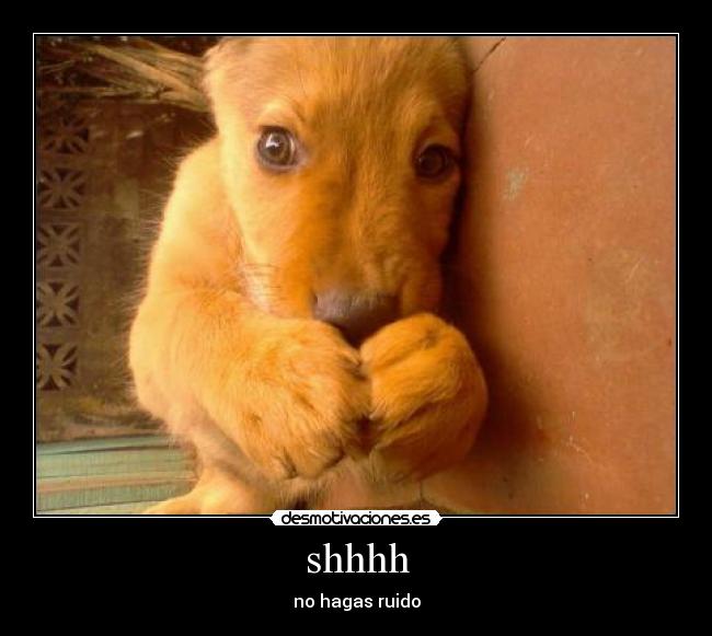 shhhh - no hagas ruido