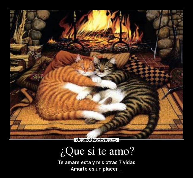 carteles vidas desmotivaciones