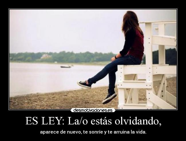 ES LEY: La/o estás olvidando, - 