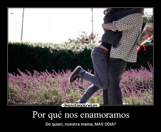 Por qué nos enamoramos -