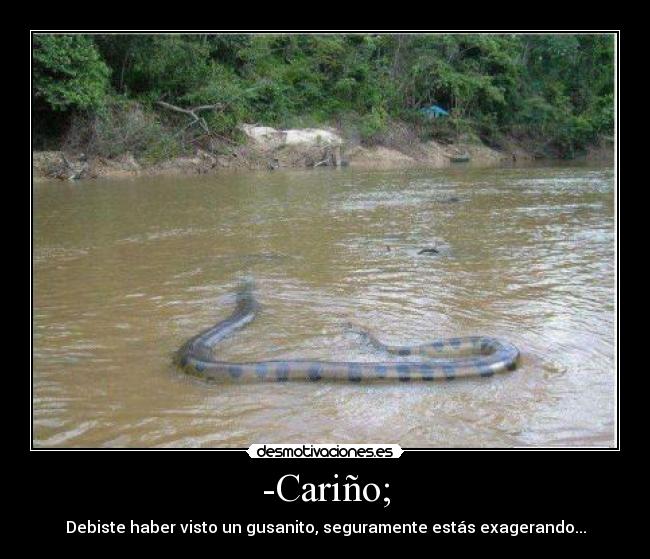 -Cariño; - Debiste haber visto un gusanito, seguramente estás exagerando...