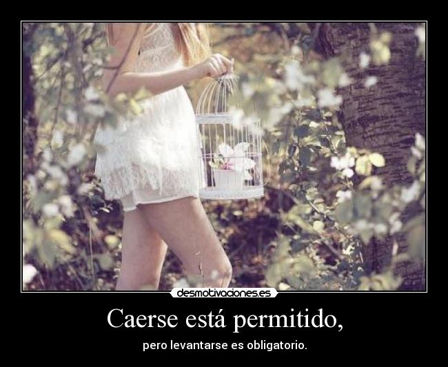 Caerse está permitido, - pero levantarse es obligatorio.