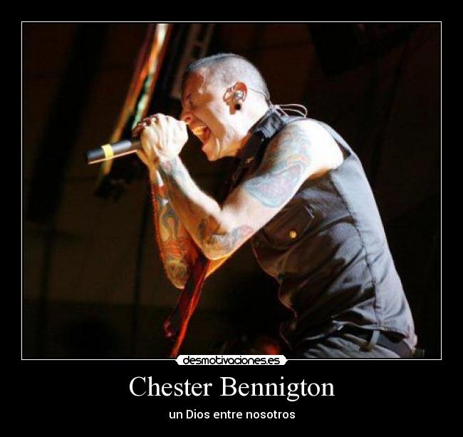 carteles desmotivaciones