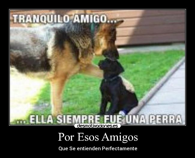 Por Esos Amigos - Que Se entienden Perfectamente