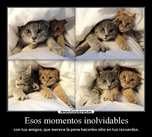 Esos momentos inolvidables - 